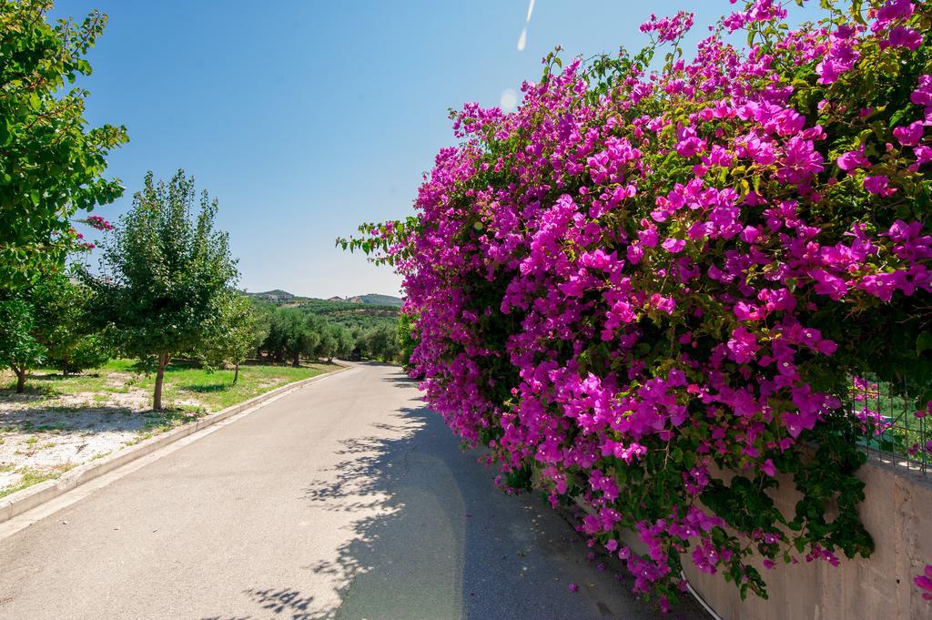 Villa Prigipessa Agia Marina Exterior foto